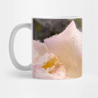 Rose in Spring Rain Mug